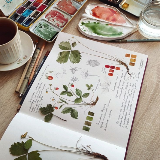 Botanical Illustration Workshop - Apr 11th